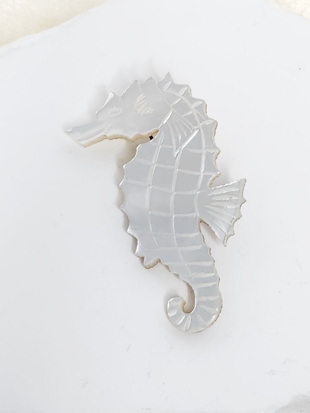 Vintage Mother Of Pearl SeaHorse Brooch